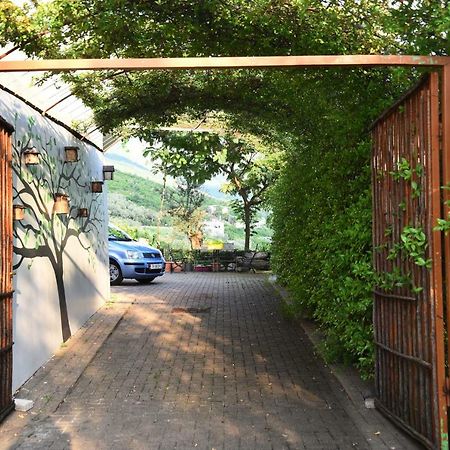 #Ioniahouse Surrel Villa Tirana Exteriér fotografie