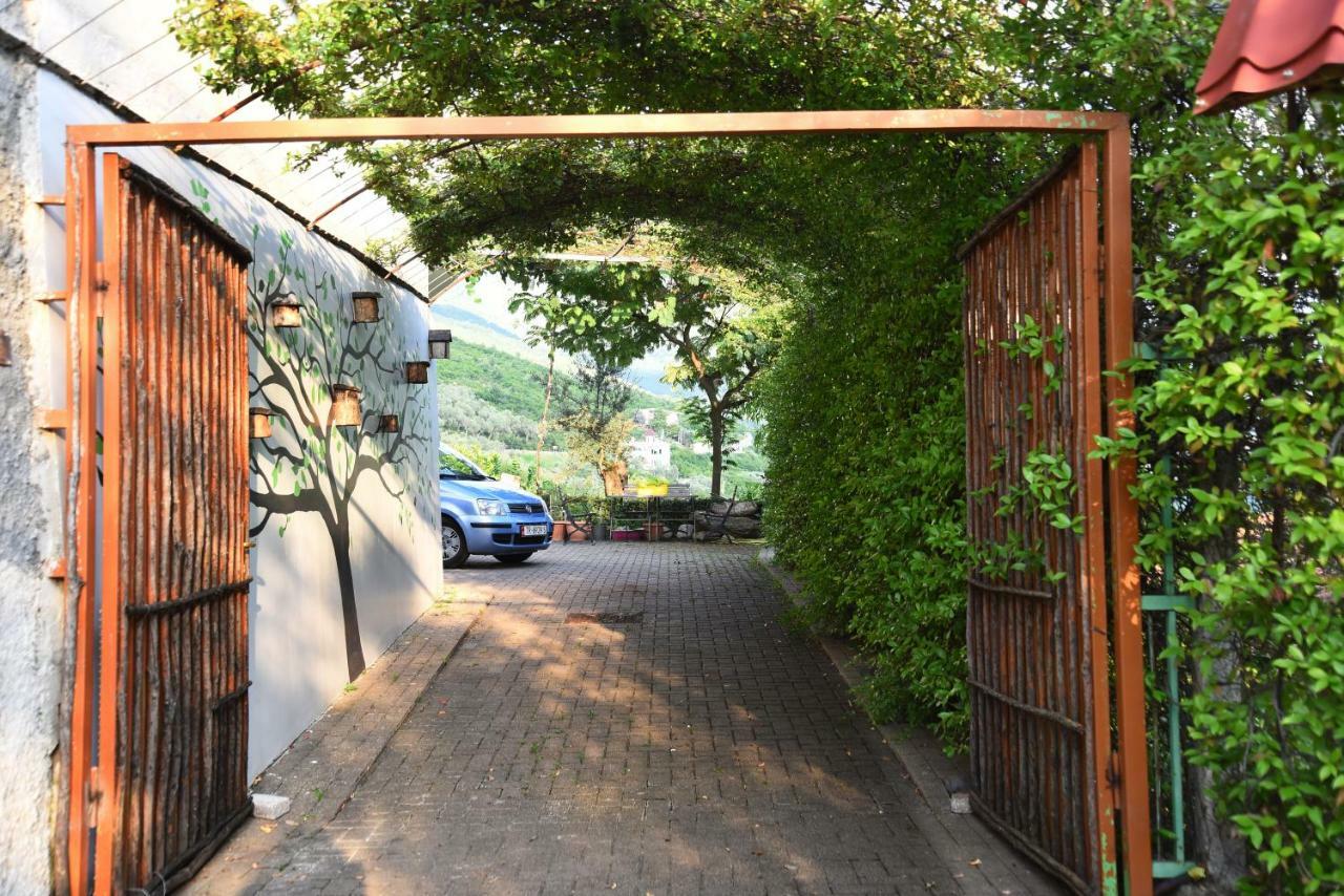 #Ioniahouse Surrel Villa Tirana Exteriér fotografie
