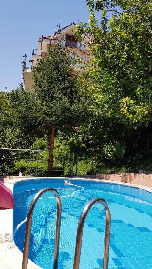 #Ioniahouse Surrel Villa Tirana Exteriér fotografie