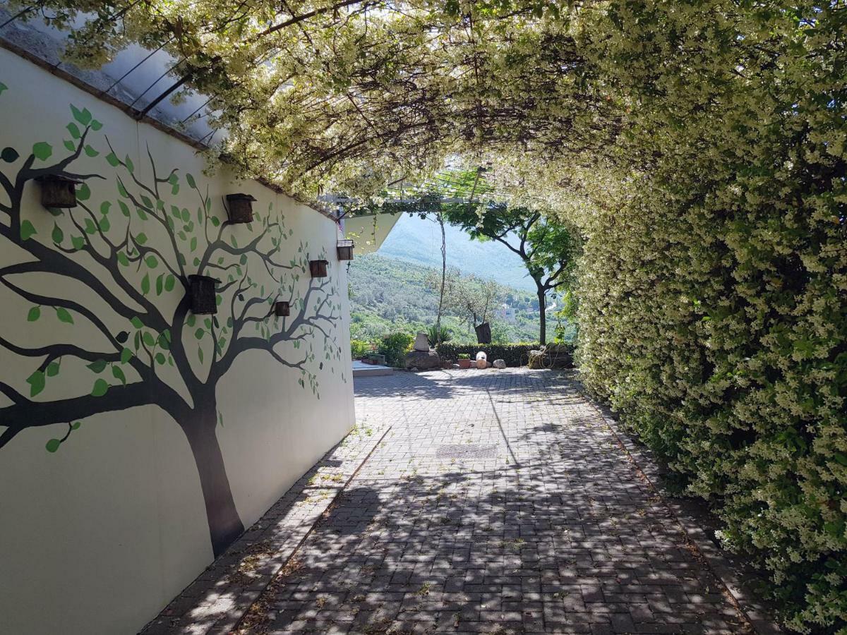 #Ioniahouse Surrel Villa Tirana Exteriér fotografie